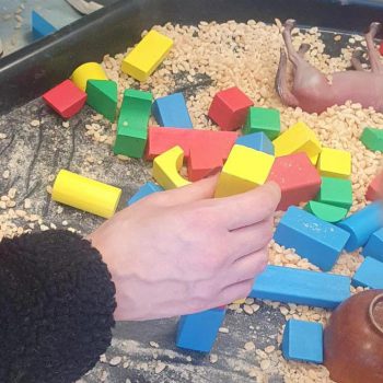 Playing with blocks at Deansrath Family Centre